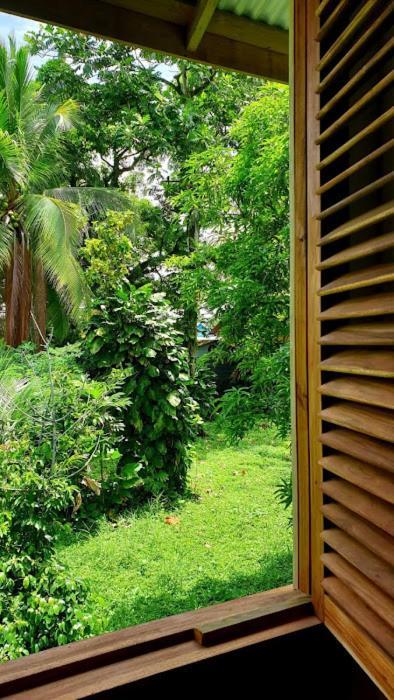 Old Bocasso Hostel Bocas Town Luaran gambar